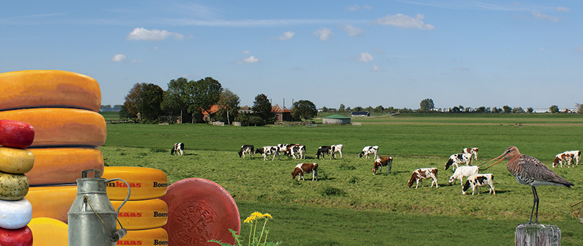 Ontdek de prachtige polders rondom het Braassemermeer, waar al generaties lang kaas wordt gemaakt.