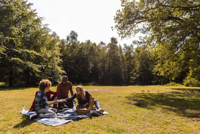 Een foto van een familie aan het picknicken in het Mastbos.