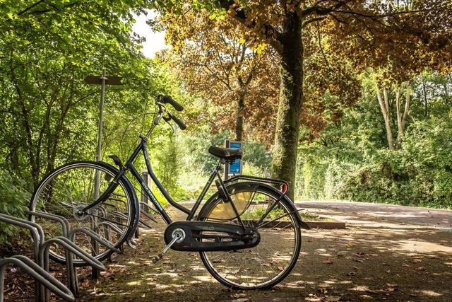 Foto van een fiets in het Westerpark.