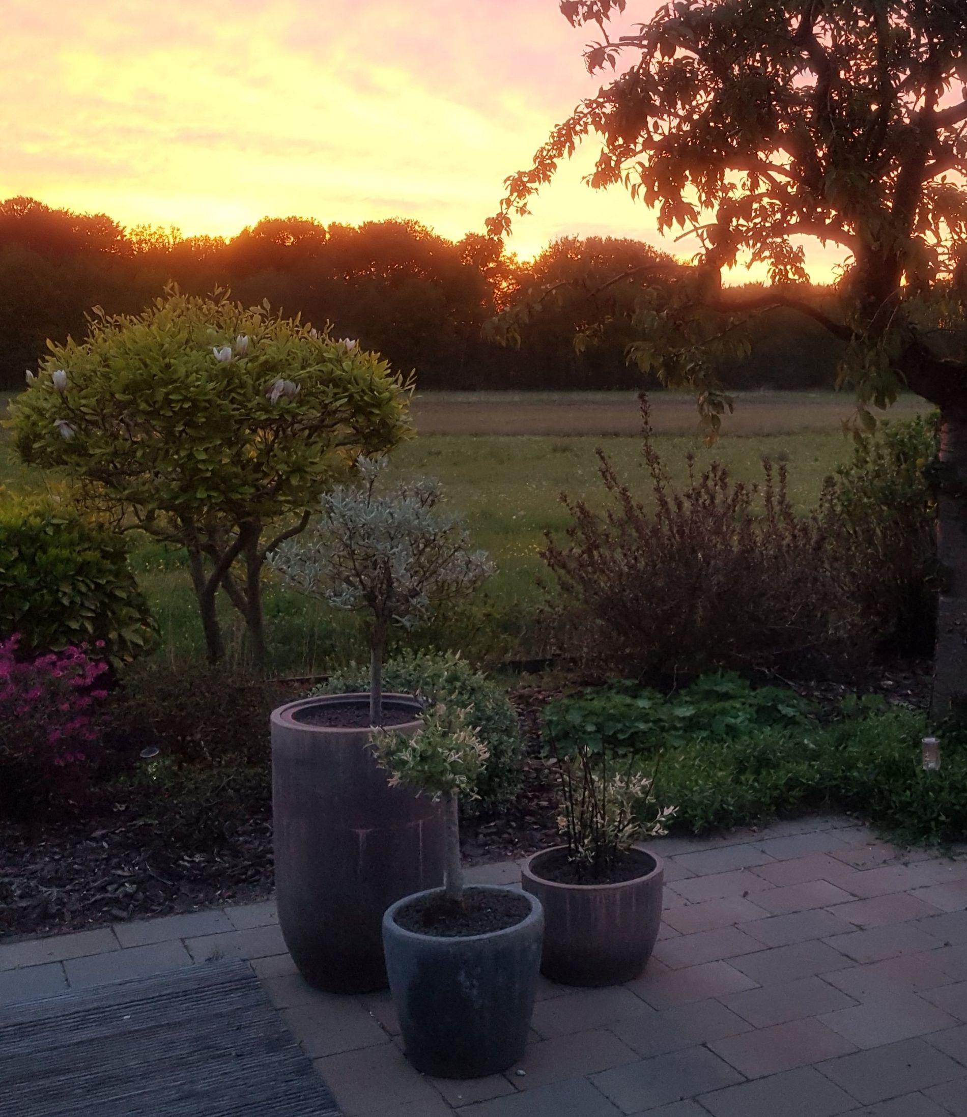 tuin bij zonsondergang