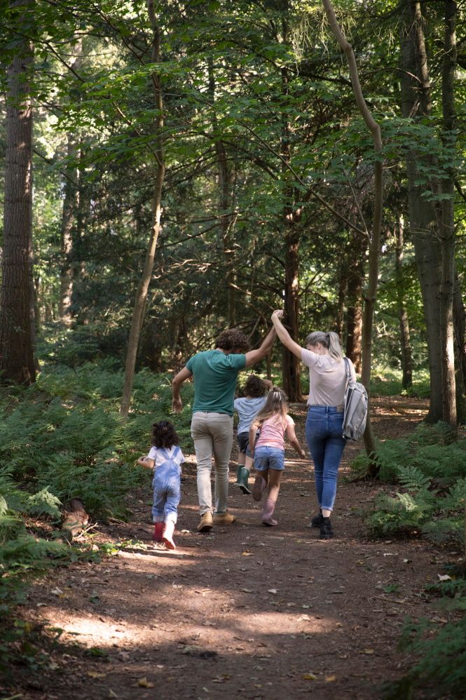 Een gezin wandelt in de zomer door een bos in Drenthe.