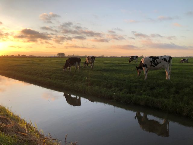 Sunrise in the polder of Amstelveen