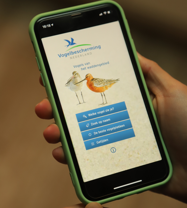 Een iPhone met de app Wadvogels van vogelbescherming Nederland geopend
