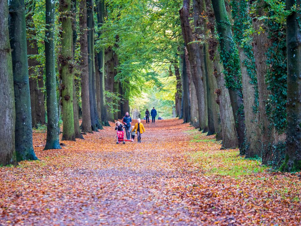 Herfst in Waterland van Friesland