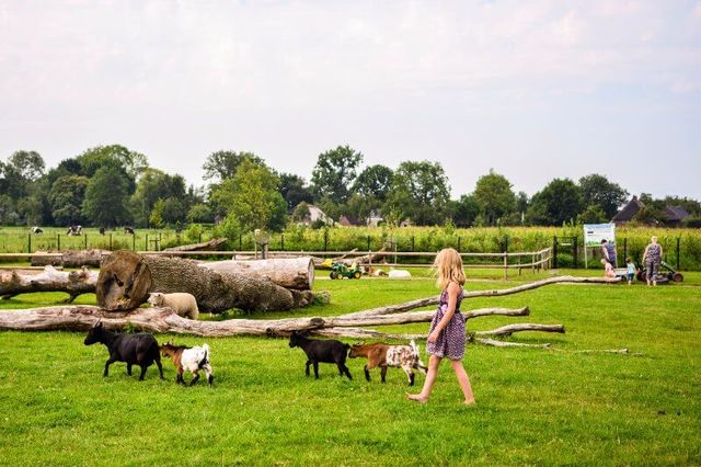 Meisje loopt door dierenweide met geiten en een schaap