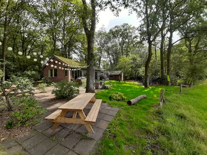Boshuisje Doldersum in Drenthe heeft een grote tuin van ruim 1.000m2 op het Zuiden en prachtig uitzicht op een weide en het Dolsersummerveld met de ondergaande zon