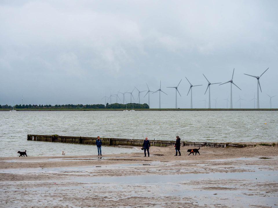 Het strand van Lemmer, hier lopen drie mensen met de hond.