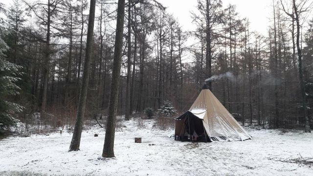 Tent in het bos met sneeuw.