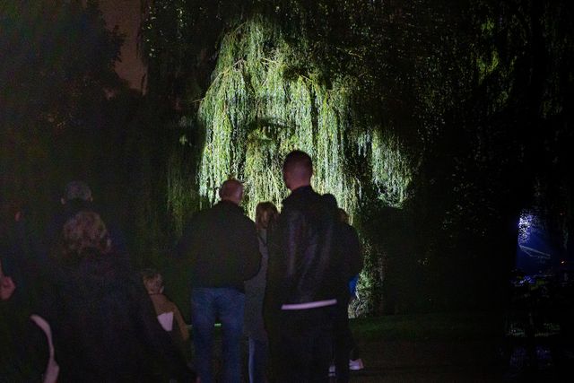 publiek luna lichtfestival kijkt naar boom waarop een gezicht te zien is