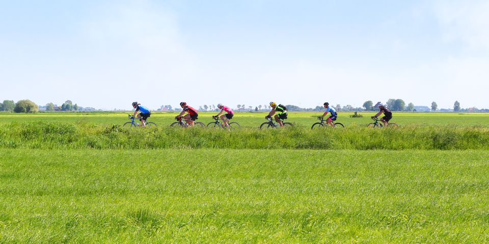 een groep fietsers van de fiets elfstedentocht fietst door de weilanden
