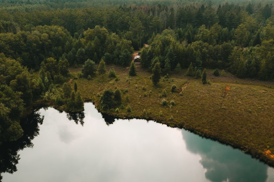 Een luchtfoto van een bos waar een cabiner in staat met daarvoor een plas water.