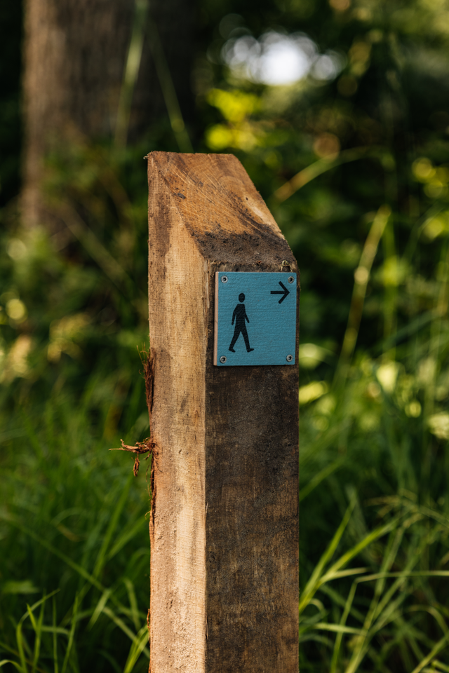 Een bewegwijzeringsbordje van het wandelknooppuntennetwerk op een houten paal.