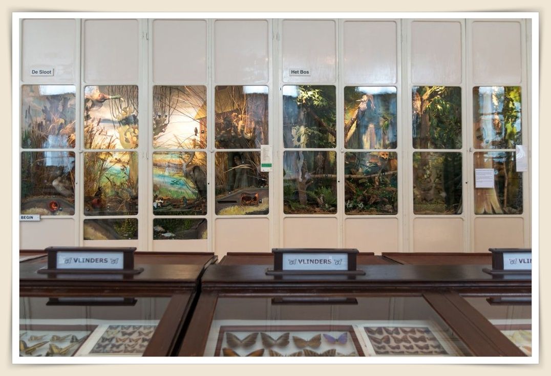 Een werelds museum te oudenbosch met uitgebreide collecties op het gebied van Natuur, Volkenkunde, Archeologie en Geologie