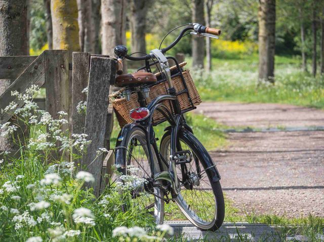 fiets geparkeerd tegen een hek in de lente