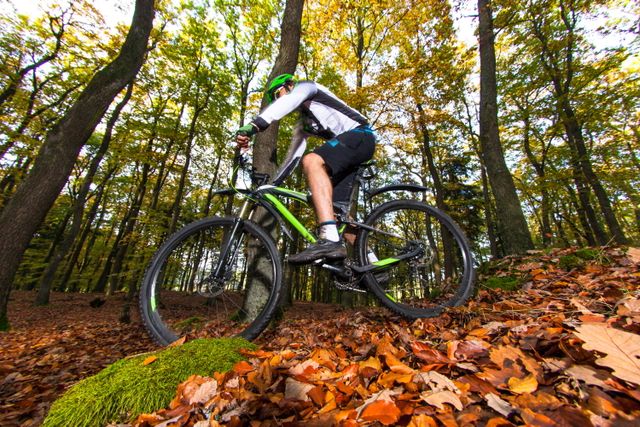 Een mountainbiker fietst in de herfst door de Drentse bossen.