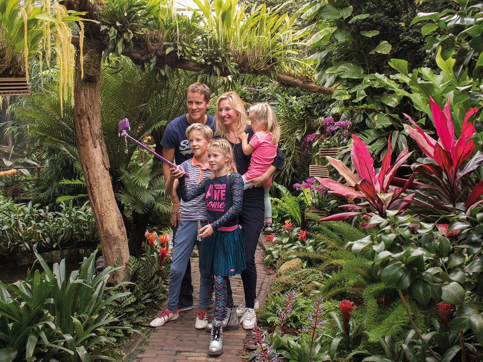 gezin neemt selfie met jungle op de achtergrond