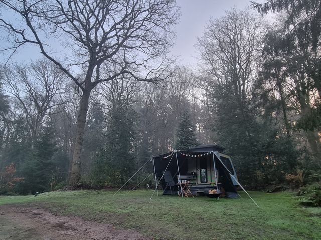 Caravan in bos en mist