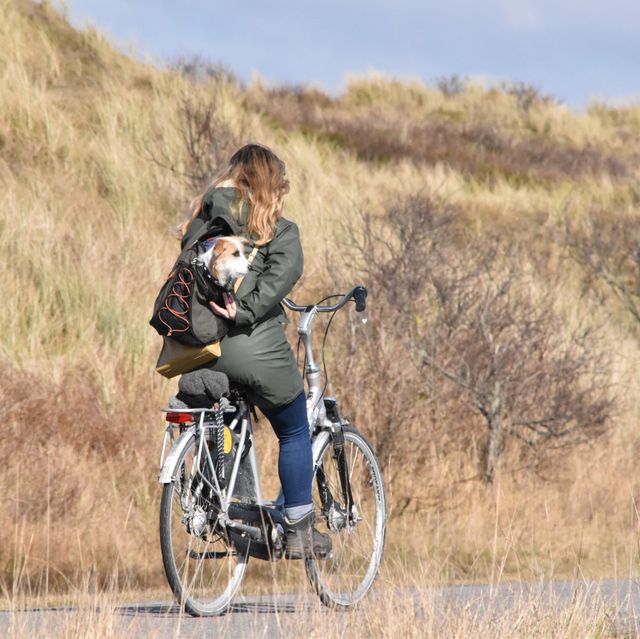 Vlieland Vrouw met hondje fiets voorjaar Postweg (klein)
