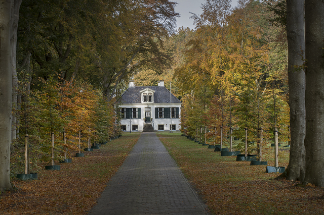 Huis Westerbeek met de weg in het midden waar bomen met oranje bladeren langs staan.