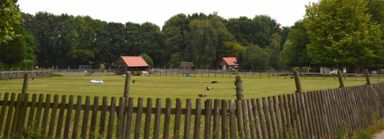 Kinderboerderij De Hertenkamp in Hilversum