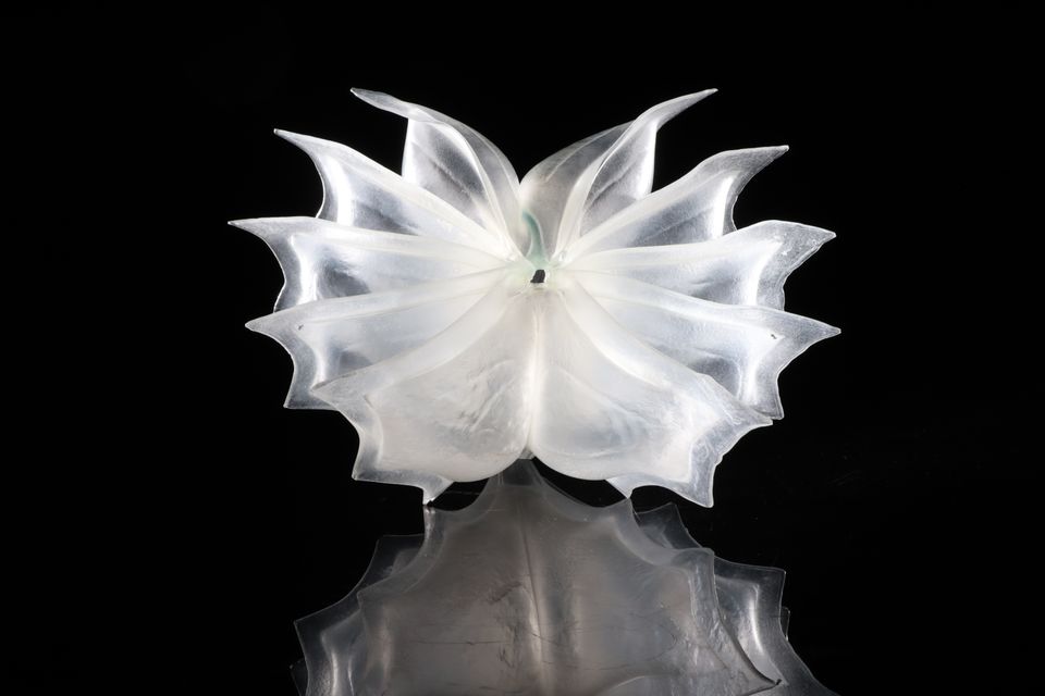 Glasobject van gefused glas in een unieke techniek