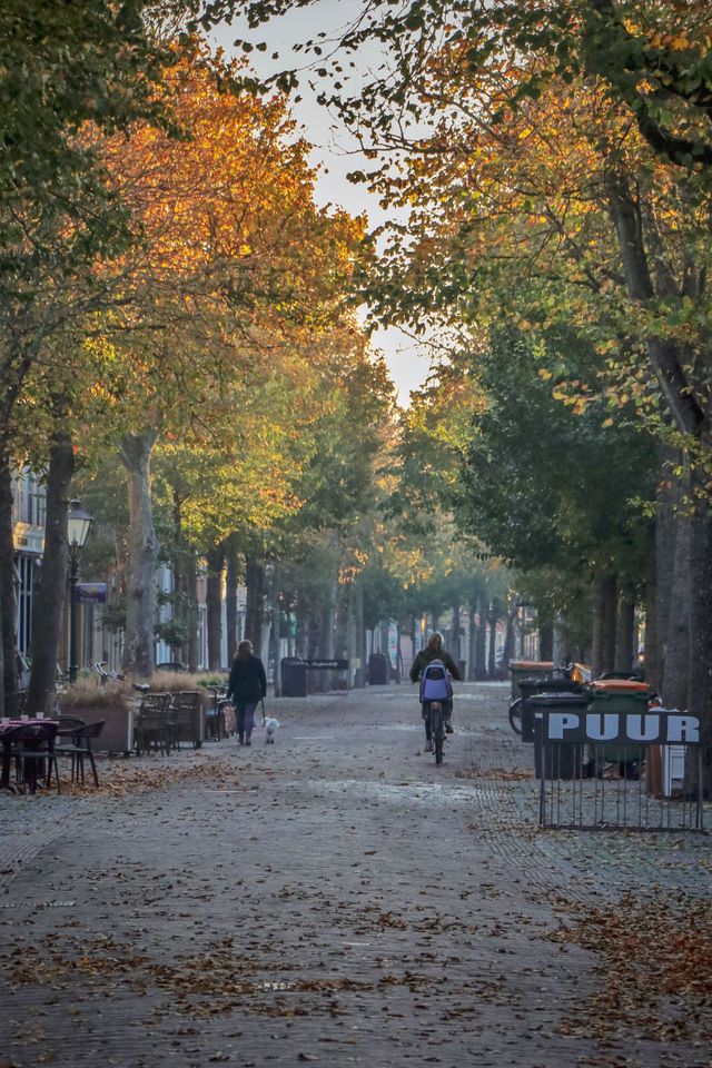 Dorpsstraat in de herfst met fietser