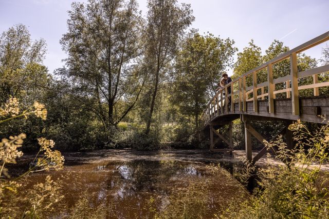 Een foto van een brug bij het Mastbos in Breda.