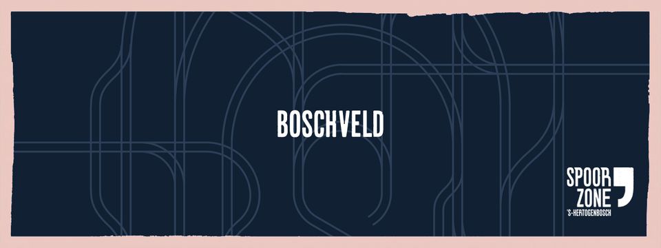 Blauw vlak met tekst Boschveld