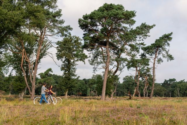 Een man en vrouw lopen met hun fiets aan de hand door de Drentse natuur.
