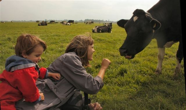 Twee kinderen die contact maken met een koe tijdens het koeknuffelen bij Bezoekboerderij De Kastanjehoeve in Beets (Noord-Holland)