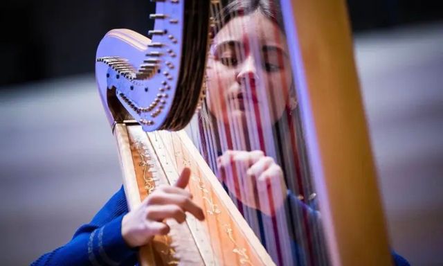 Een vrouw gefotografeerd door de snaren van een harp heen.