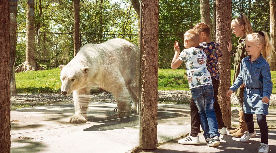 Kinderen kijken naar de ijsbeer