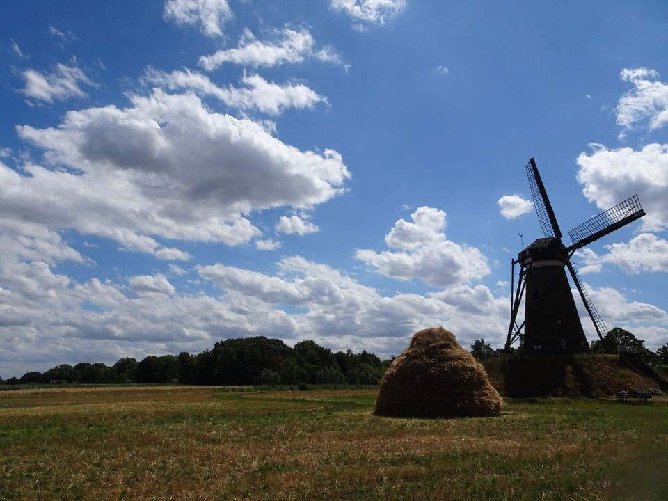 Mill Nuenen in the summer