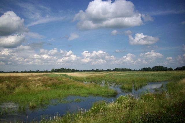 Waterrijk natuurgebied met groene velden en een blauwe en bewolkte lucht.