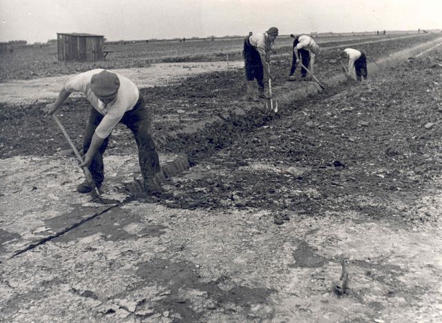 Zwart wit foto waar vier mannen op te zien zijn die de grond aan het bewerken zijn in de Noordoostpolder.