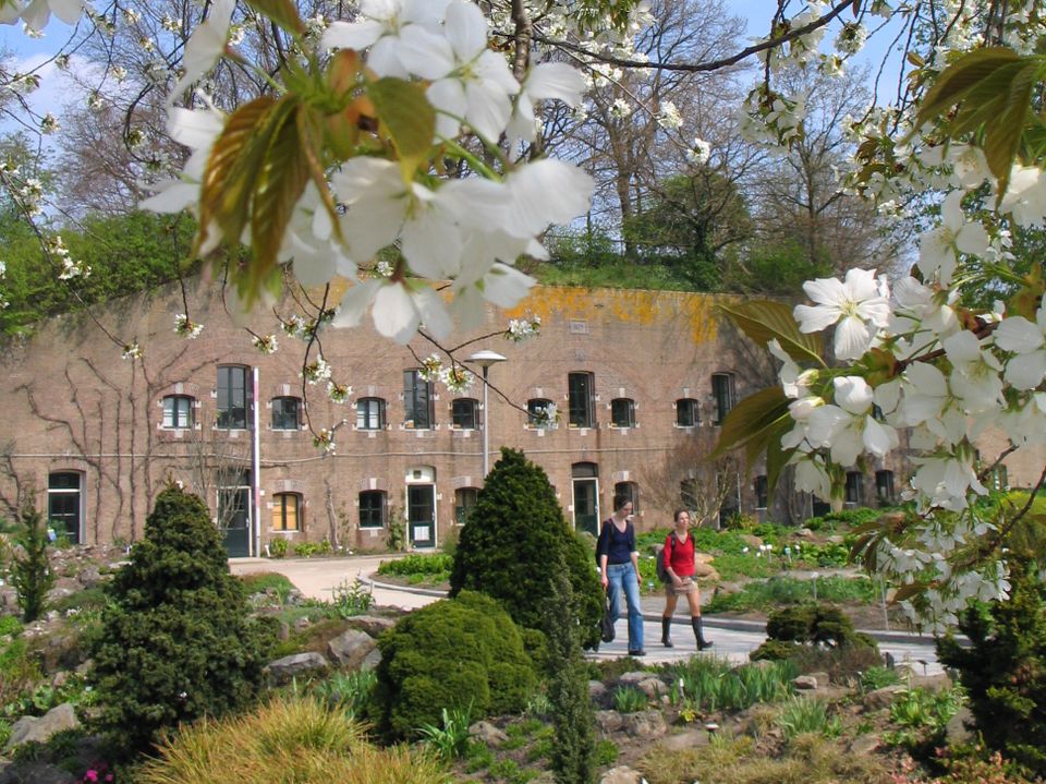 Van achter bloeiende bloesembomen zie je een betonnen fort omgeven door planten. Twee bezoekers lopen door de tuin op het terrein van het fort.