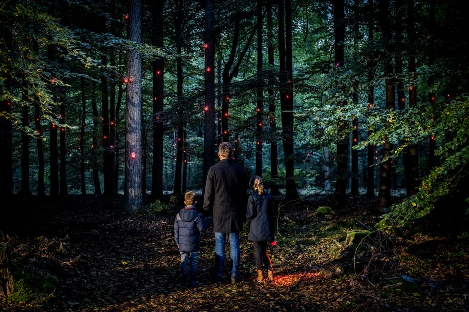 Vader staat in het bos met twee kinderen en samen kijken ze naar de lichtjes.
