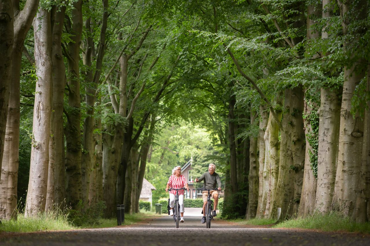 Twee fietsende mensen in het karakteristieke landschap van Frederiksoord. Ze rijden op een rechte laan met hoge bomen.