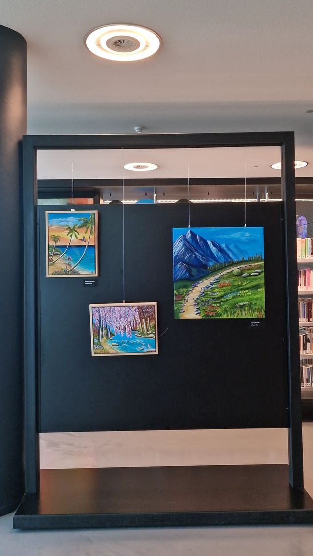 Guntar Braaf expositie in De nieuwe bibliotheek in Almere Centrum.