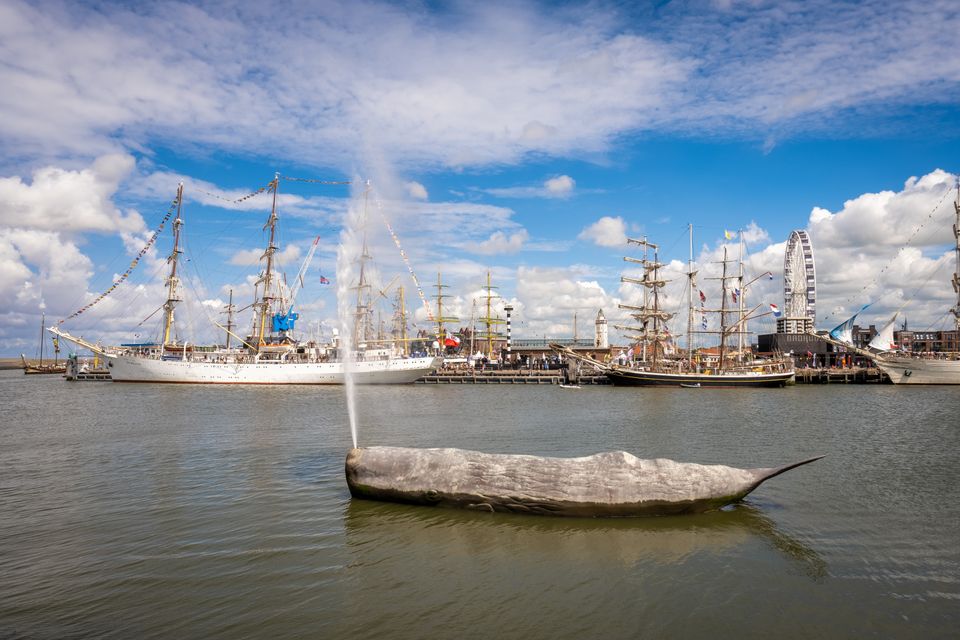 De Nieuwe Willemshaven in de achtergrond tijdens The Tall Ships Races Harlingen 2022, met in de voorgrond de walvis.