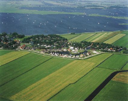 Goingarijpster poelen Friesland