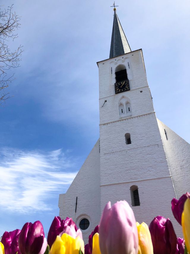 Witte kerkje met tulpen