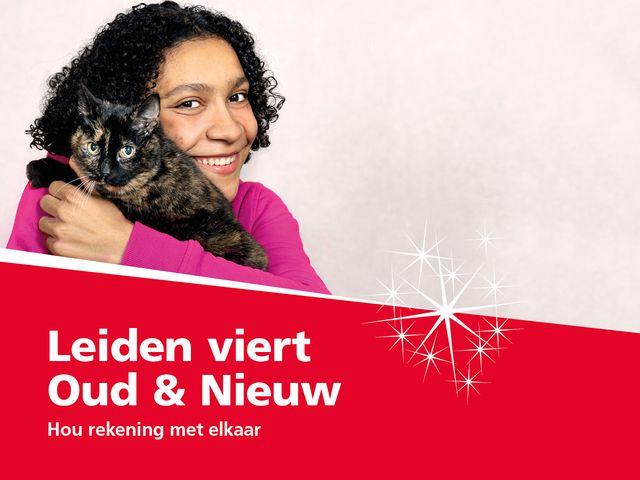 Leiden celebrates the new year banner