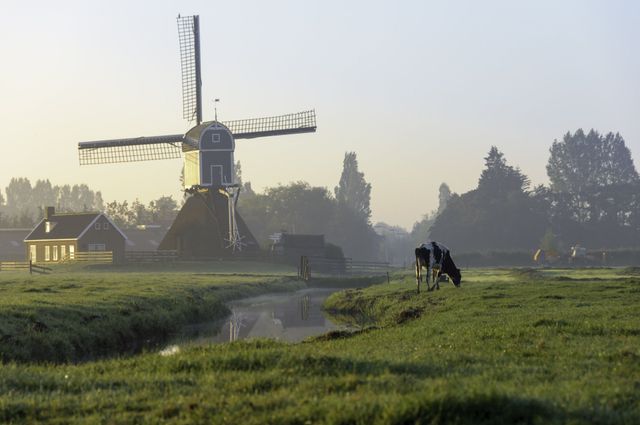 Het Groene Hart van Holland op Zoetermeer is de plek.