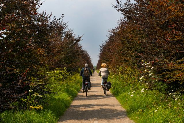 Twee mensen zijn aan het fietsen in Zoetermeer. Er is veel groen te zien.