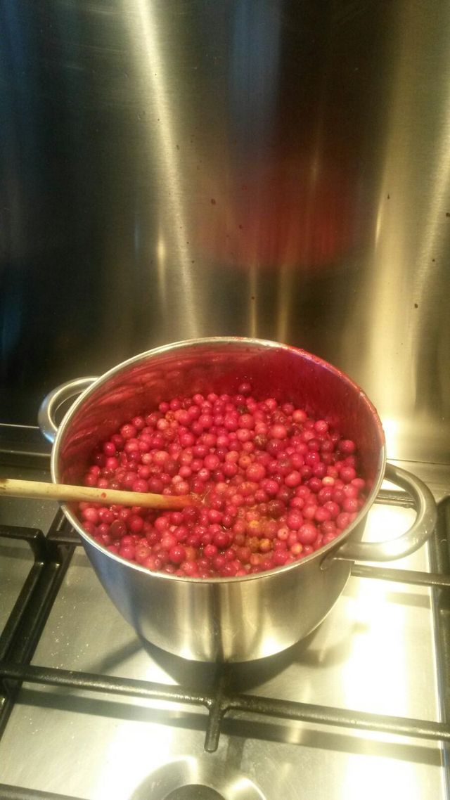 Pan met cranberry's Vlieland
