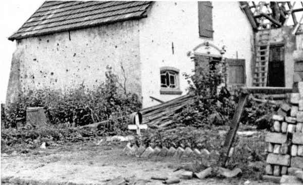 De Poolse militair Bier vond zijn eerste rustplaats in een veldgraf aan de Dorpstraat. Mogelijk is hij de radio-operator werd geholpen door Henk te Dorsthorst, destijds inwoner van Driel.