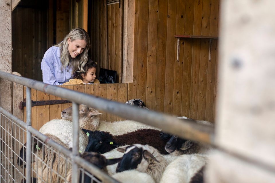 Een moeder kijkt samen met haar dochtertje naar de schapen die net zijn teruggekeerd naar de schaapskooi.