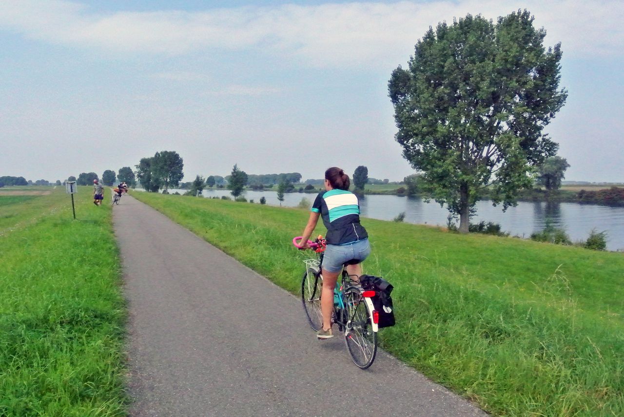 Fietsen langs de Maas, fietspad