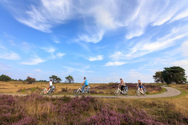 Het Nationale Park de Hoge Veluwe - Actief op witte fietsen - BezoekEde